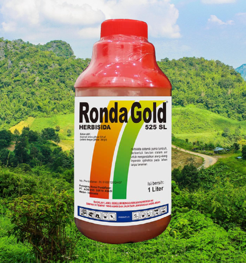 RONDA GOLD 525 SL 1L